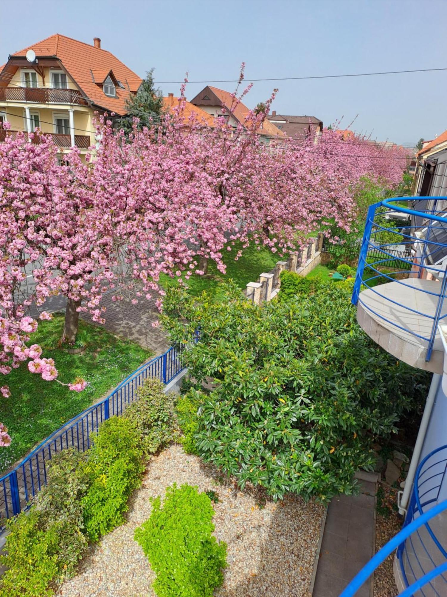 Laguna Apartmanhaz Heviz Luaran gambar